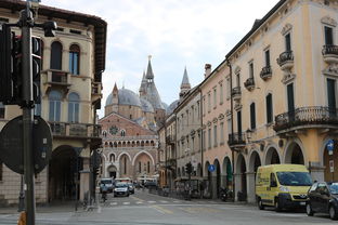 (pk史莱姆视频)挑战史莱姆，大型PK对决即将开始，谁能称王？