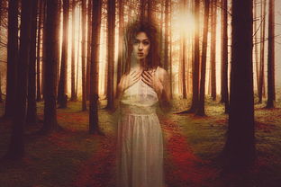 僵尸风暴更新到哪了?最新情报揭秘,精彩内容尽在我们探讨的新一级细节 僵尸风暴更新到哪了?最新情报揭秘,精彩内容尽在我们探讨的新一级细节