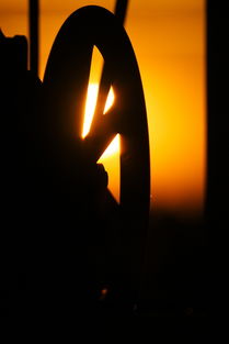 (神秘妖怪图鉴)神秘妖怪屋代号揭秘:隐藏在暗黑角落的神秘秘密是什么? (神秘妖怪图鉴)神秘妖怪屋代号揭秘:隐藏在暗黑角落的神秘秘密是什么?