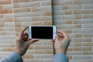 (迷失的星球)迷失星球龙珠最佳阵容推荐:打造无敌阵容,一举称霸宇宙! (迷失的星球)迷失星球龙珠最佳阵容推荐:打造无敌阵容,一举称霸宇宙!