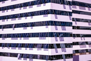 (玛雅战纪)重温经典,探秘失落的文明:玛雅战记传奇故事揭秘 (玛雅战纪)重温经典,探秘失落的文明:玛雅战记传奇故事揭秘