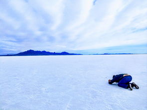 (河狸家2020年现在怎么样了)河狸家2024年最新公告:品质升级,服务升级,让生活更美好! (河狸家2020年现在怎么样了)河狸家2024年最新公告:品质升级,服务升级,让生活更美好!