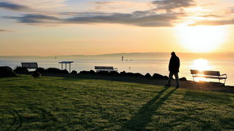 澳门马会传真-澳门|最新答案解释落实_AR版.7.640 澳门马会传真-澳门|最新答案解释落实_AR版.7.640