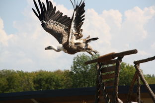 二四六天天彩資料大全网|广泛的解释落实方法分析_纯净型.1.867 二四六天天彩資料大全网|广泛的解释落实方法分析_纯净型.1.867