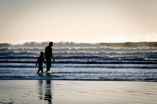 我是航天员修改器:探讨其对于航天员训练效益与科研进步的重大贡献 我是航天员修改器:探讨其对于航天员训练效益与科研进步的重大贡献
