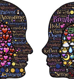 (梵花录官网)探究梵花录停止运营背后的原因：业绩下滑还是竞争压力过大？