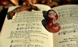 (一笠一蓑一钓钩诗)一蓑一笠一江湖手游兑换码,畅游江湖,尽享特权福利 (一笠一蓑一钓钩诗)一蓑一笠一江湖手游兑换码,畅游江湖,尽享特权福利