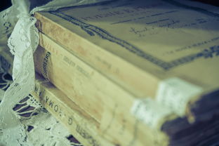 (齿轮之父)独家揭秘：齿轮大师的利爪——揭秘机械世界中的神秘秘密