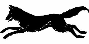 (星罗棋布和鳞次栉比的区别)星罗棋布与鳞次栉比的不同之处及区别