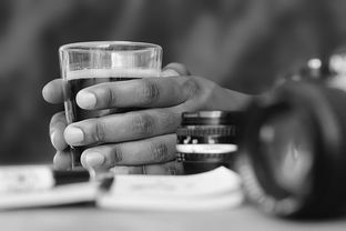 (萌宠探险队攻略)探险乐园：萌宠大冒险app，带你进入奇幻世界探索无限乐趣