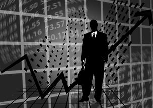 今晚一肖一码澳门一肖四不像|专家解析解释落实_X.2.168