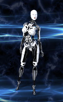 (御剑师灵剑扩容)在红尘中修炼，御剑灵炼最简单方法曝光