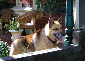 (王者荣耀兰陵王新皮肤回城特效)梦回兰陵王皮肤出世，颠覆你对英雄的认知！