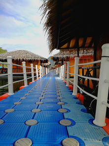 澳门新彩35703cm结果查询|经典理论与实践的完美结合_梦幻版IP.4.524