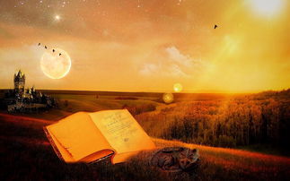 非人哉卡稀有度一览表:查看最珍贵、最稀有的非人哉卡等级排行榜 非人哉卡稀有度一览表:查看最珍贵、最稀有的非人哉卡等级排行榜