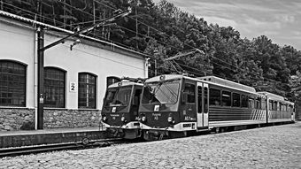 (艾丽莎的国度 布局)探秘艾丽莎的国度：完美布局图揭示的美丽奥秘与精致设计