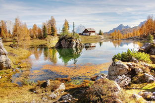 穿越时之扉,征服荆棘崖任务的挑战 穿越时之扉,征服荆棘崖任务的挑战