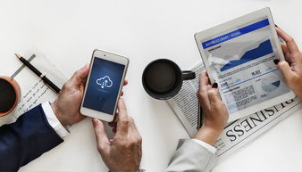 (天姬变灵妖鉴最佳搭配)天姬变美女灵狐：传奇故事揭秘，惊艳逆袭引众人惊叹