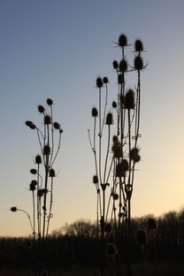 (作文笑傲人生)在笑傲人生的道路上，我用坚持与勇气书写属于自己的精彩篇章