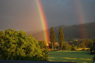 澳门王中王100%期期准|独家资源分享助你成长_桌面款.8.464