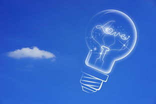 2024最新奥彩资料|探索世界各地的美食奇观_梦幻版4.84