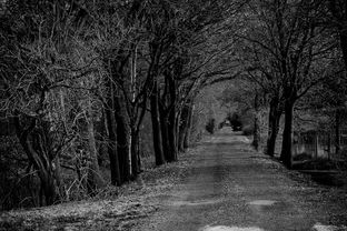 澳门王中王100%期期准|独家资源分享助你成长_桌面款.8.464