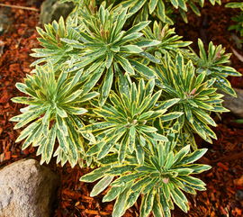 (侠客岛 百科)行走在天涯,探寻侠客岛的传奇之旅 (侠客岛 百科)行走在天涯,探寻侠客岛的传奇之旅