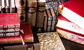 (逆灭邪神最新章节)逆灭之路：揭示在绝望中重生与反转的传奇旅程