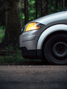 澳门精准六肖期期准网站特色|最新答案解释落实_习作版.6.701 澳门精准六肖期期准网站特色|最新答案解释落实_习作版.6.701