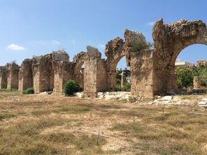 (功夫熊猫cctv)功夫熊猫TV版：看熊猫大师如何闯荡江湖