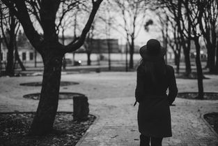 (岳飞 襄阳)精忠报国岳飞传：详细攻略及解析襄阳之战的历史瞬间