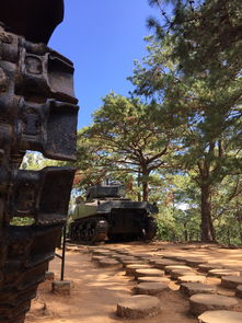 大唐后妃传：辉煌背后的荣耀与泪水，宫廷权谋与爱恨情仇的绚丽画卷