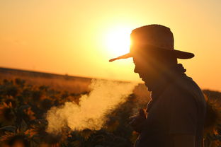 (现代装甲战之父)探寻现代装甲战的先驱者：军事技术发展的先锋