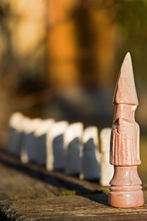 王中王高手论坛资料手机版|探索生活中的小技巧_终点版.4.578