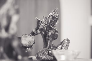 新澳今天晚上开奖结果查询表34期|探索澳门的无限魅力与精彩活动_娱乐版ISHOP.7.490 新澳今天晚上开奖结果查询表34期|探索澳门的无限魅力与精彩活动_娱乐版ISHOP.7.490