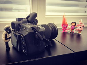 一统江湖可好？挑战江湖霸主，掌握权力无双，称霸江湖的刺激之道