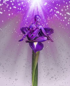 (白泽拿出的令牌)白泽令到底在哪里藏匿了？