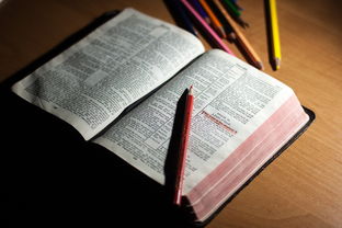 (炼金术士:艾莉工作室)GBC炼金术士艾莉：探寻神秘的炼金之道与魔法奥秘