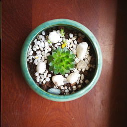 (篮球赛的一些热血沸腾的句子)打破常规,燃爆全场!感受热血篮球赛的激情与梦想 (篮球赛的一些热血沸腾的句子)打破常规,燃爆全场!感受热血篮球赛的激情与梦想