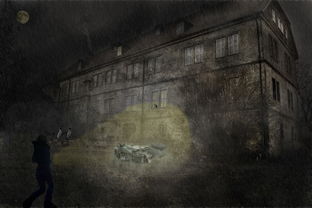 (精灵宝贝下载安装)下载精灵宝贝全部解锁版，立即体验更多全新功能和乐趣