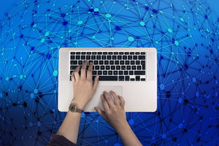 在战场上追击敌人:揭秘百度版最新出战追击功能 在战场上追击敌人:揭秘百度版最新出战追击功能