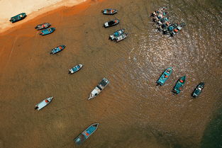 虫虫大作战现在叫什么了？新版本更新了什么内容？玩家反响如何？