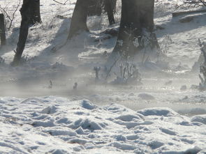 周翊然主演的《斗罗大陆2真人版电视剧》免费观看，教你如何看！