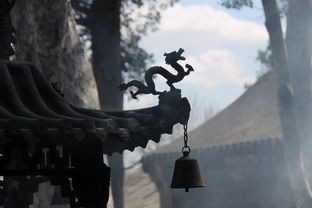 (hcg报告单是什么样的)HCG的报告单图片：了解你体内的妊娠激素水平以及相关健康信息