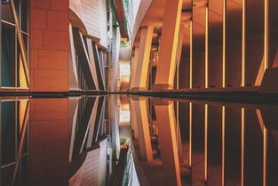 (海贼王石纪元)海贼新纪元：揭秘最强阵容组合及其最佳搭配策略