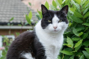 天工物语 赵卫东：从农村小伙到国际创新大师的非凡人生旅程