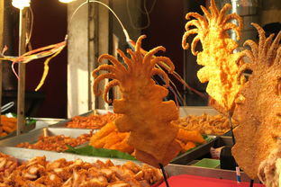 探秘丝绸之路的瑰宝：云游敦煌APP官方入口引领您亲历千年历史文化传承