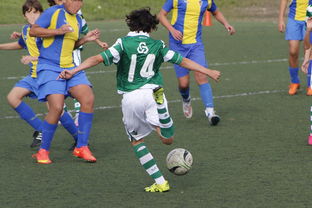 澳门4949彩论坛高手1971|了解当前热门问题的解答_实况款.3.528