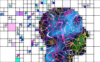 小宝当皇上平民攻略:神秘小宝如何用聪明才智挑战皇室规则获得平民信任与支持 小宝当皇上平民攻略:神秘小宝如何用聪明才智挑战皇室规则获得平民信任与支持