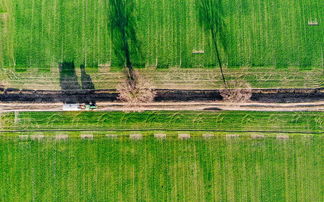 将夜遮天手游:探索奇幻世界,体验史诗般的冒险与英雄成长之旅 将夜遮天手游:探索奇幻世界,体验史诗般的冒险与英雄成长之旅
